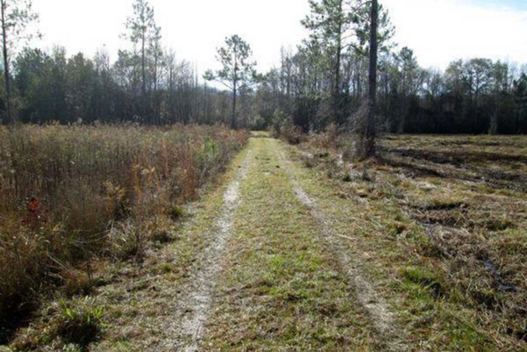 Spotlight on "54 Acres Trudie Rd"