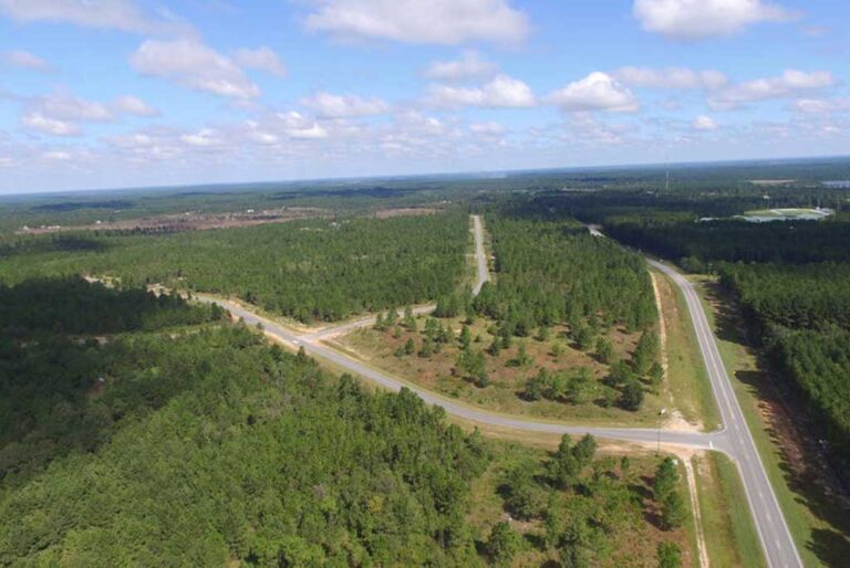 Land for Sale 105 Acres in Ben Hill County