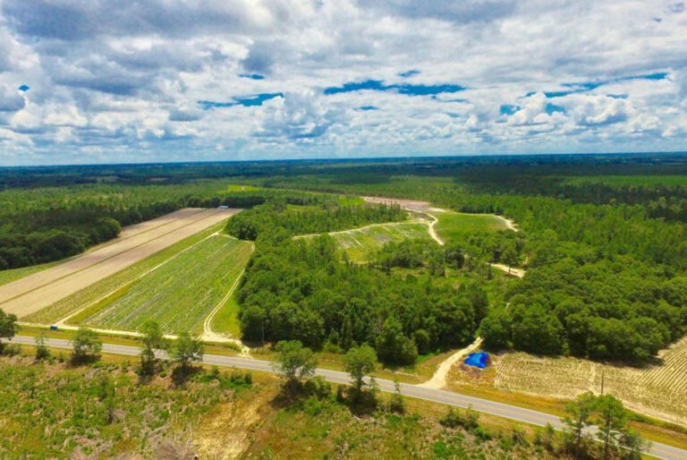 Organically Permitted Farms Making Healthy Crops & Sustainability Top Priorities