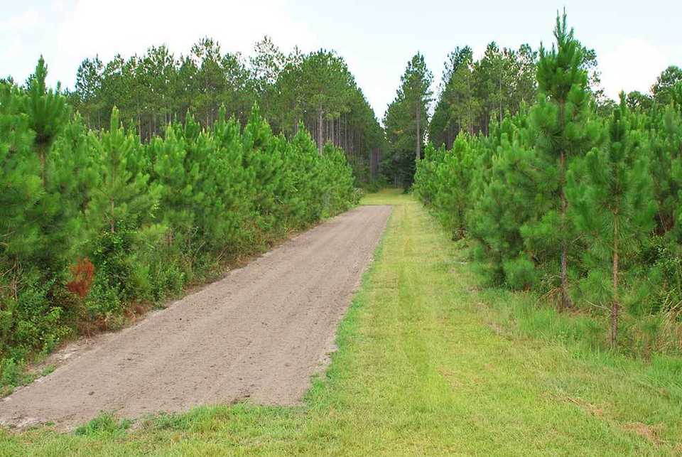 Food Plot Ready to Plant