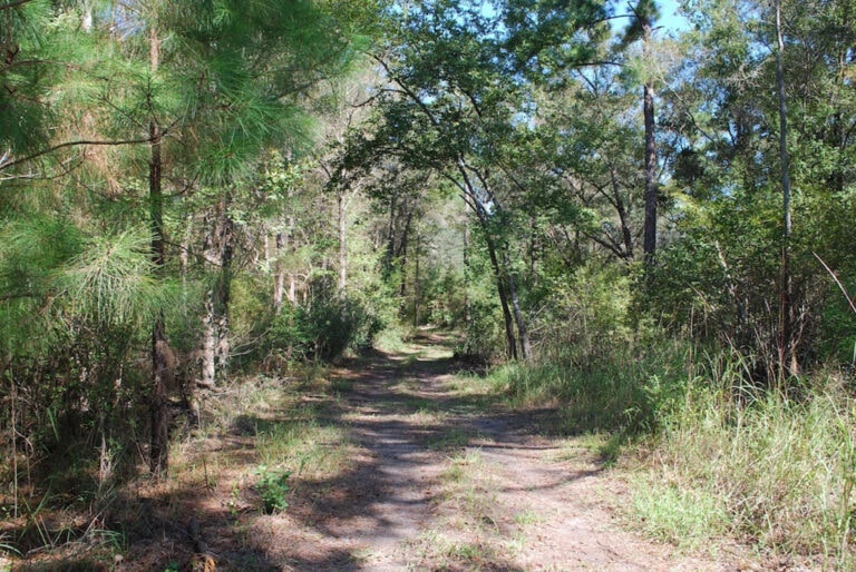 108 Acres with a River and Natural Forest Create Perfect Environment for Camping