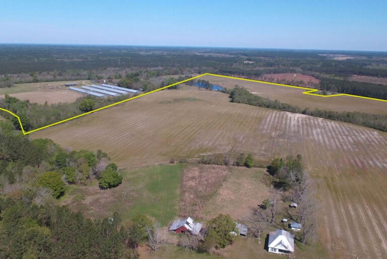 210 Acre Farm in Georgia - Will Subdivide