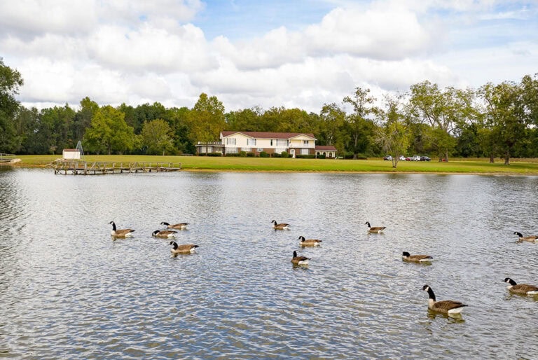 5 Possibilities with Beautiful Property in Appling County
