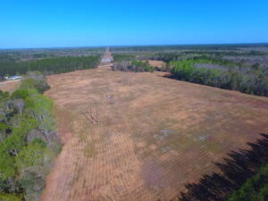 Build a Haven For Your Horses With This Pastureland