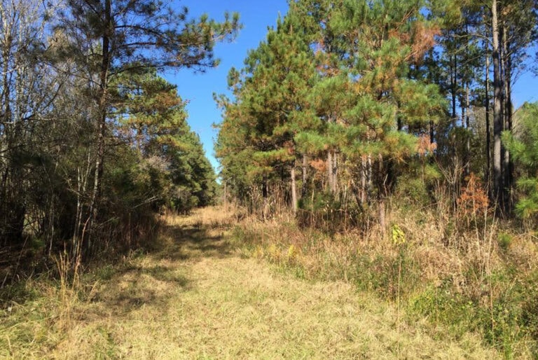 Ideal Land Investment for Recreational Enthusiast