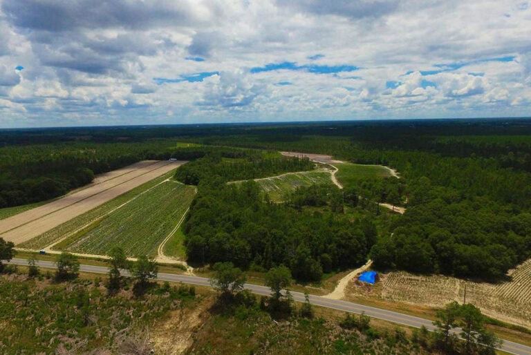 It's a Great Time of Year to Buy Some Farm Land
