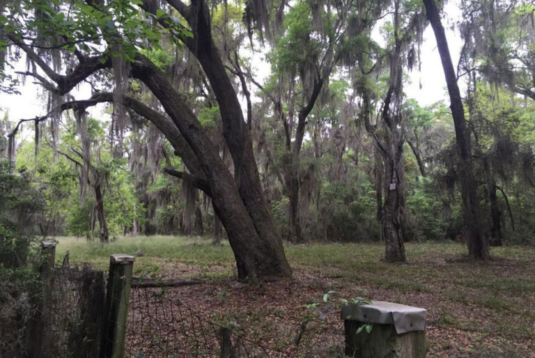 Land Available Near Musgrove Plantation is Rare Opportunity