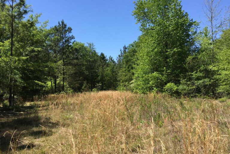 Versatile Land For Sale in Wheeler County