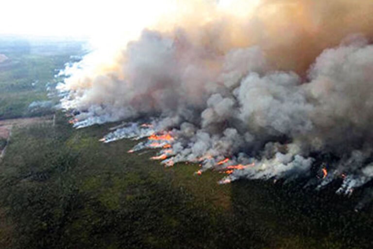A Fateful Bolt of Lightning Brings Devastating Flames to Southeastern United States