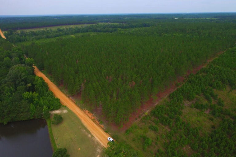 Back to the Business of Land Sales