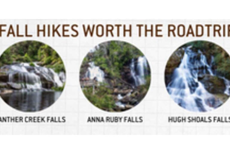 Best Waterfall Hikes Worth the Roadtrip!