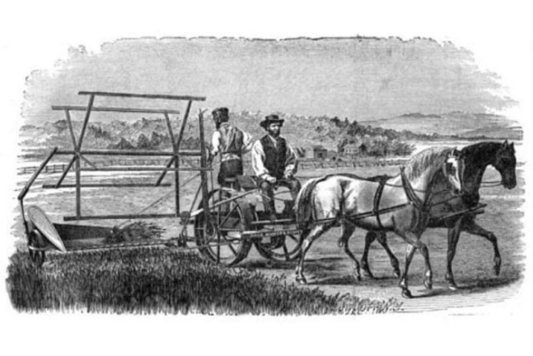 Dream of Farming Land? Dreams Sometimes Become Reality