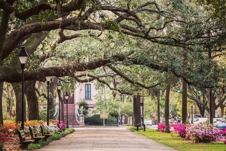 Explore! Awesome Day Trips from St. Simons