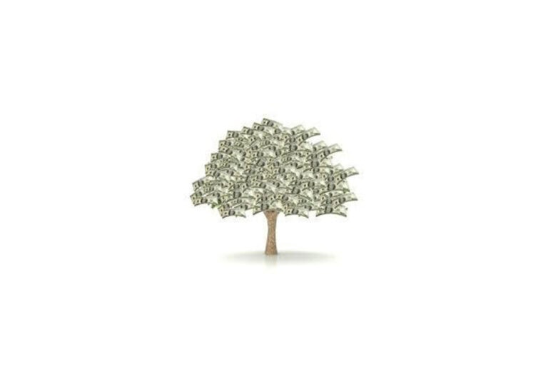 Forest Land Values Keep Growing