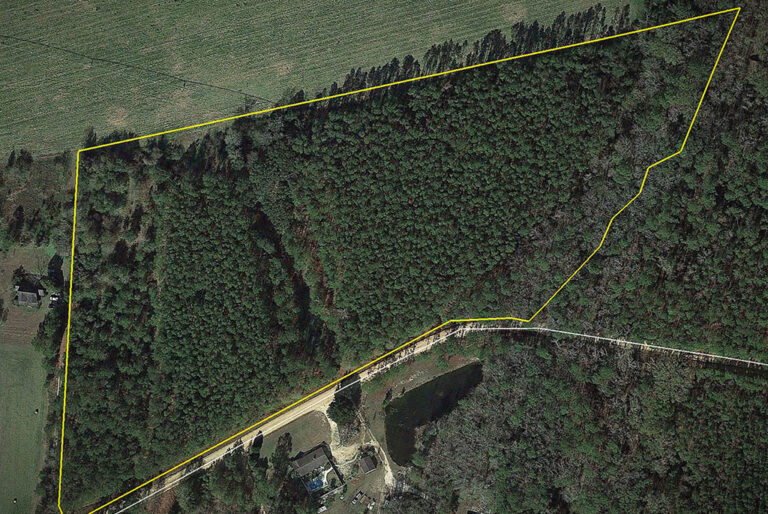 How We Found Our Land
