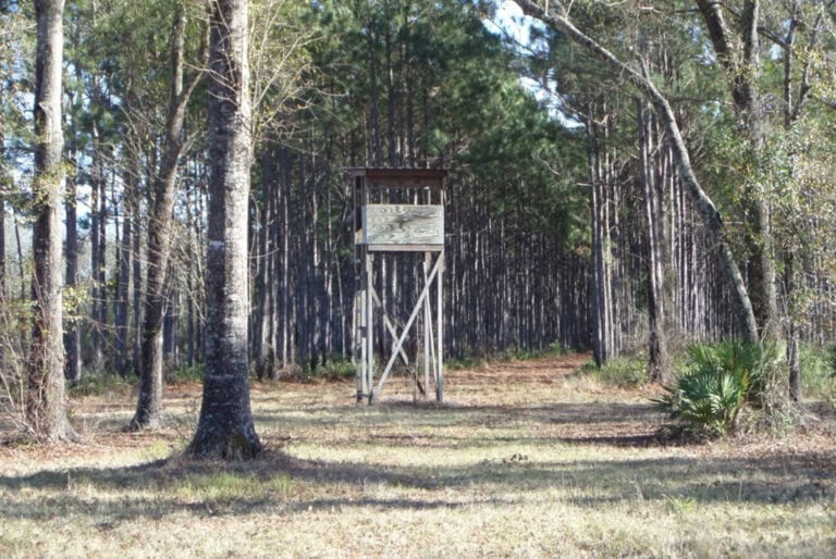 Land "Spotlight" of the Week