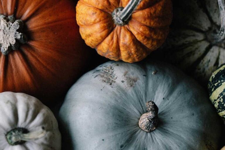 October 2022 Events in South Georgia