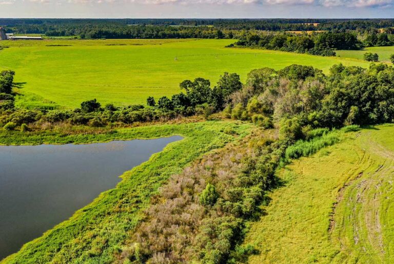 Pastureland, Cultivation, Home - Perfection in this Property