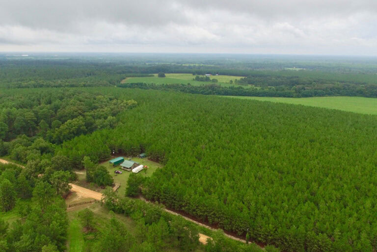 This Tract Offers Scenic Views, Merchantable Timber and Ashburn, GA