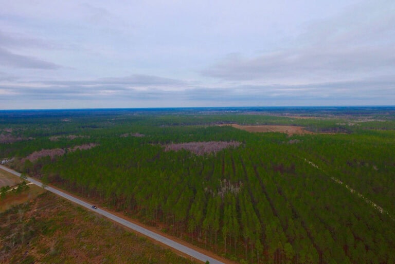 Timberland Located Where the Ways Cross