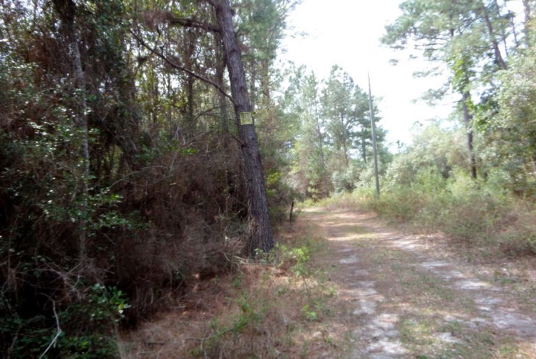 Weekly Spotlight on 47 Acres in Pierce County