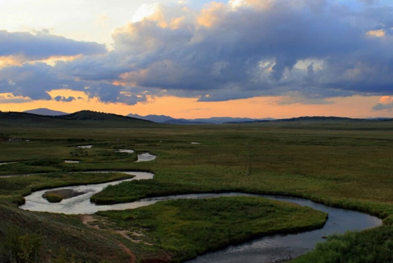 Your Questions Answered about Conservation Easements
