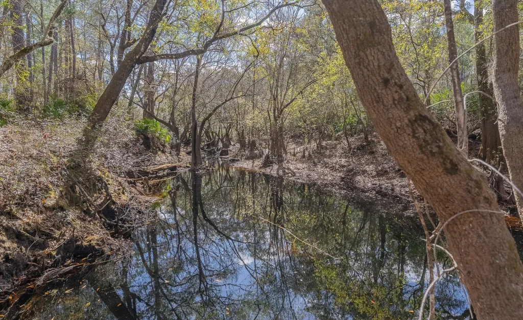 Little Saint Marys River Frontage