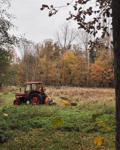 Land Management Costs to Expect When Buying Land