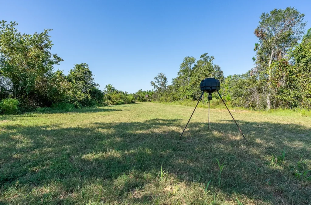 Food Plot on the Property