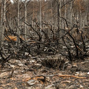 Soil erosion after a wildfire
