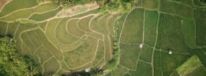 When Selling Land, Subdivide or Keep Whole.