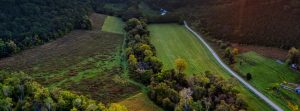 When Selling Land, Subdivide or Keep Whole.