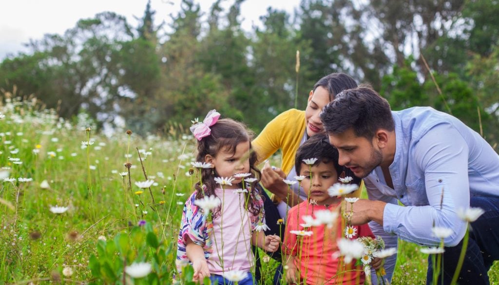 Homeschool Families Buying More Land In Southeast Georgia