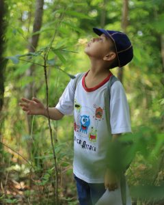 Homeschool Families Buying Land in Southeast Georgia